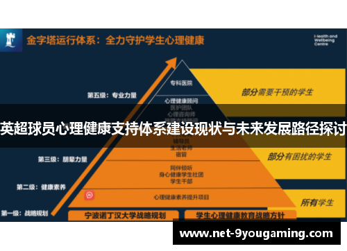 英超球员心理健康支持体系建设现状与未来发展路径探讨