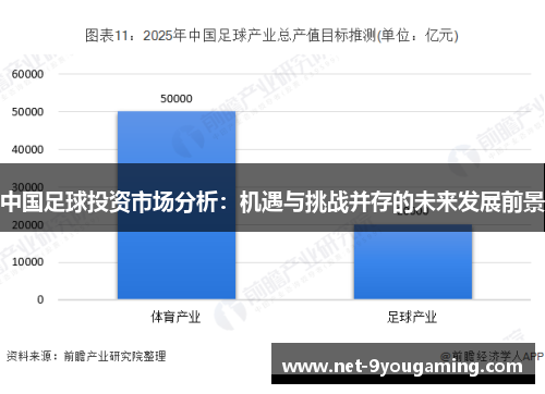 中国足球投资市场分析：机遇与挑战并存的未来发展前景
