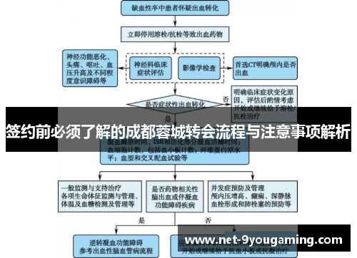 签约前必须了解的成都蓉城转会流程与注意事项解析