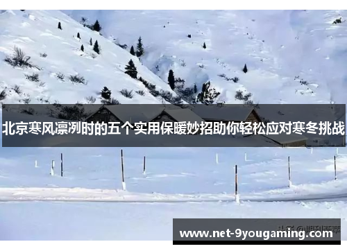北京寒风凛冽时的五个实用保暖妙招助你轻松应对寒冬挑战