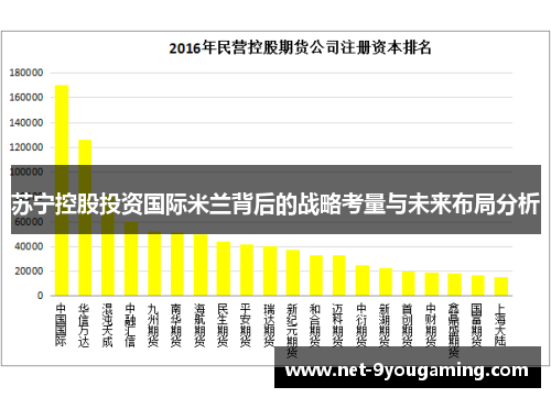 苏宁控股投资国际米兰背后的战略考量与未来布局分析