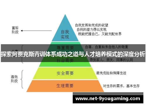 探索阿贾克斯青训体系成功之道与人才培养模式的深度分析