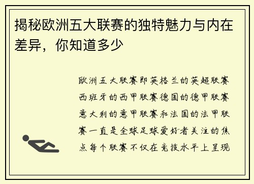 揭秘欧洲五大联赛的独特魅力与内在差异，你知道多少